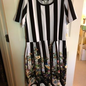 Lularoe Amelia dress